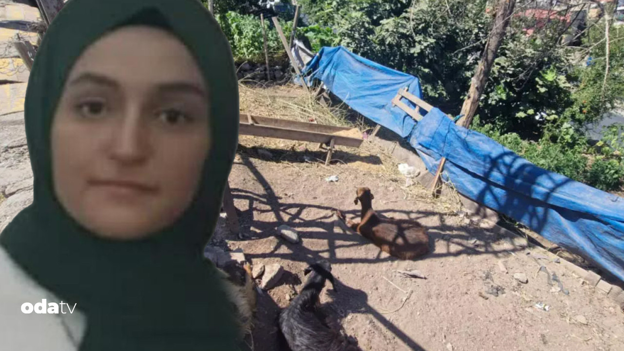 Kahreden olay: Keçiye dokundu, hayatını kaybetti
