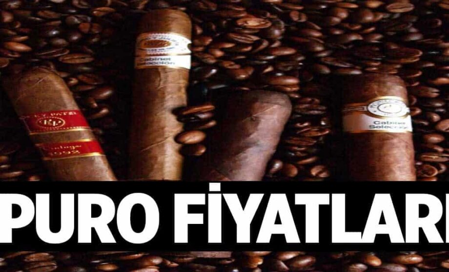 Puro Fiyatlari 1024x622s6W.jpg