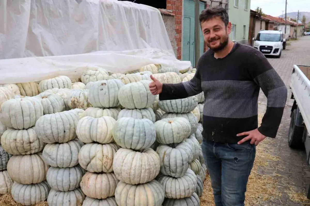 eskisehir balkabagi hasadi basladi LIVGhedI.jpg