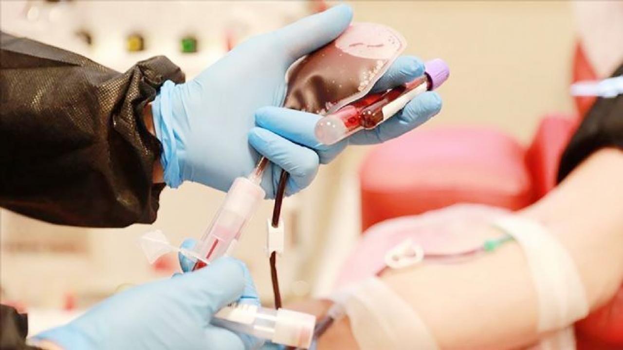 bir bagis bir hayat kok hucre bagisiyla hayat yeniden basliyor dYsJgsPz.jpg