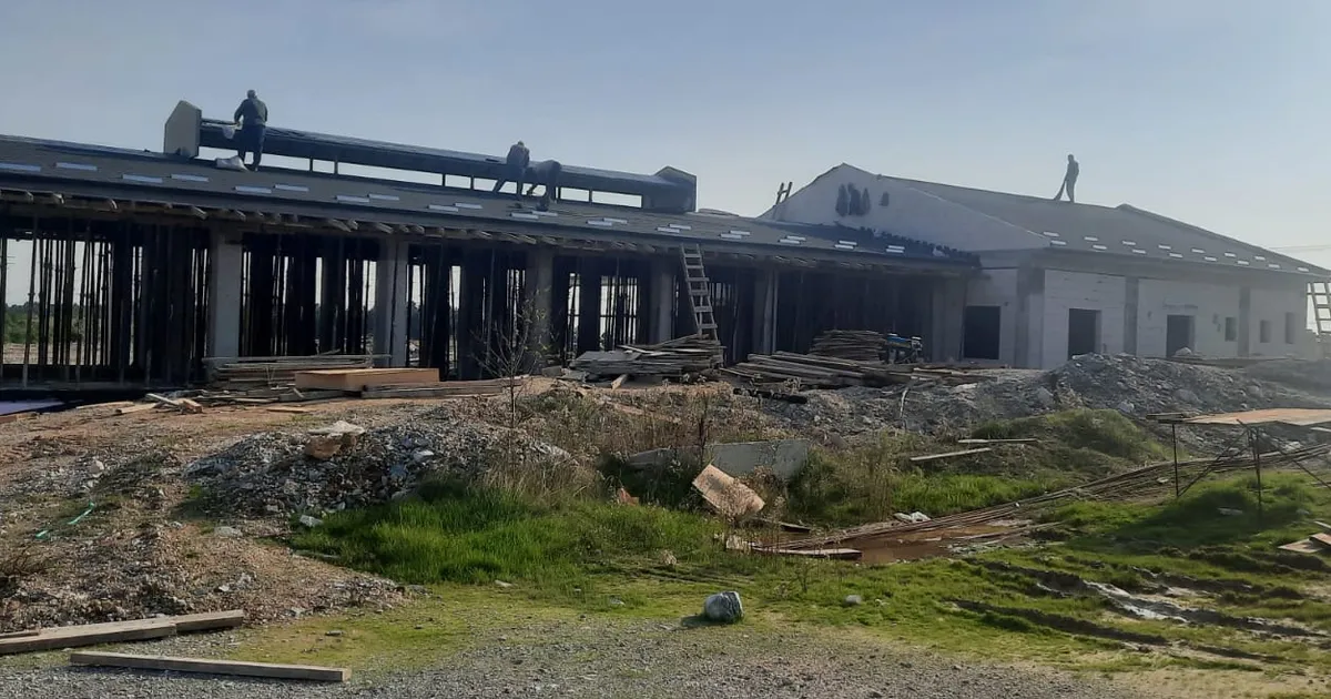 izmitten sokak hayvanlarina modern yasam alani jhvZWgaw.webp